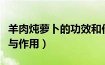 羊肉炖萝卜的功效和作用（羊肉炖萝卜的功效与作用）