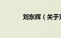刘东辉（关于刘东辉的介绍）