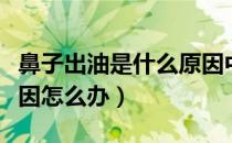 鼻子出油是什么原因中医（鼻子出油是什么原因怎么办）