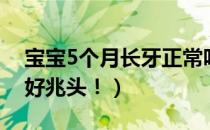 宝宝5个月长牙正常吗（宝宝5个月长牙代表好兆头！）