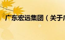 广东宏远集团（关于广东宏远集团的介绍）