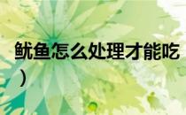 鱿鱼怎么处理才能吃（干鱿鱼怎么泡发才松软）