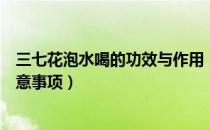 三七花泡水喝的功效与作用（三七花泡水喝的食用方式和注意事项）