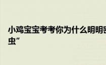 小鸡宝宝考考你为什么明明密封很好的大米，还会长出“米虫”