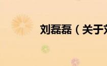 刘磊磊（关于刘磊磊的介绍）