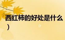西红柿的好处是什么（经常吃番茄有哪些作用）