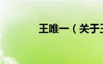 王唯一（关于王唯一的介绍）