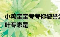 小鸡宝宝考考你被誉为我国“茶圣”的古代茶叶专家是