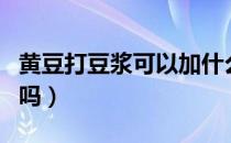 黄豆打豆浆可以加什么（黄豆豆浆可以天天喝吗）