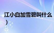 江小白加雪碧叫什么（江小白加可乐什么意思）