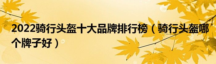 2022骑行头盔十大品牌排行榜（骑行头盔哪个牌子好）