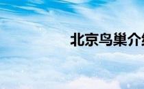 北京鸟巢介绍 鸟巢介绍