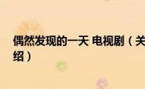 偶然发现的一天 电视剧（关于偶然发现的一天 电视剧的介绍）