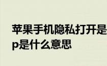 苹果手机隐私打开是轻app是什么意思 轻app是什么意思
