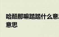 哈酷那嘛踏踏什么意思 hakunamatata什么意思