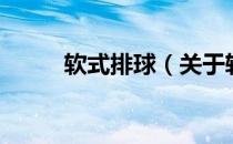 软式排球（关于软式排球的介绍）