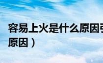 容易上火是什么原因引起的（容易上火是什么原因）