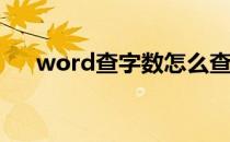 word查字数怎么查2003 word查字数