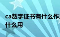 ca数字证书有什么作用 什么是数字CA证书有什么用