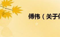 傅伟（关于傅伟的介绍）