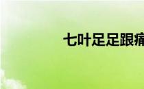 七叶足足跟痛贴 足跟痛贴