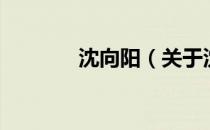 沈向阳（关于沈向阳的介绍）