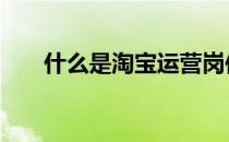 什么是淘宝运营岗位 什么是淘宝运营