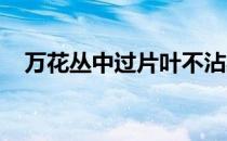 万花丛中过片叶不沾身这句话是什么意思
