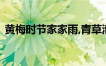 黄梅时节家家雨,青草池塘处处蛙指什么地方