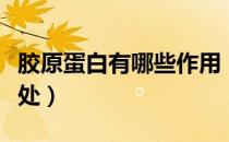 胶原蛋白有哪些作用（补充胶原蛋白有什么好处）
