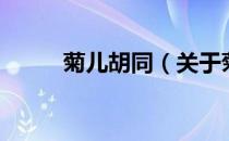 菊儿胡同（关于菊儿胡同的介绍）