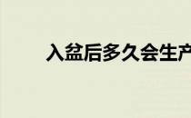 入盆后多久会生产 入盆后多久会生