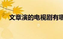 文章演的电视剧有哪些 文章演的电视剧