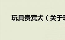 玩具贵宾犬（关于玩具贵宾犬的介绍）