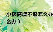 小孩高烧不退怎么办40度（小孩高烧不退怎么办）