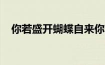 你若盛开蝴蝶自来你若精彩天自安排图片