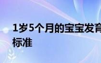 1岁5个月的宝宝发育标准 5个月的宝宝发育标准