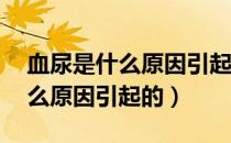 血尿是什么原因引起的男性65岁（血尿是什么原因引起的）