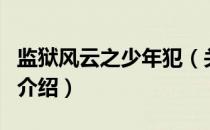 监狱风云之少年犯（关于监狱风云之少年犯的介绍）