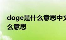 doge是什么意思中文 网上的用语doge是什么意思
