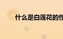 什么是白莲花的性格 什么是白莲花