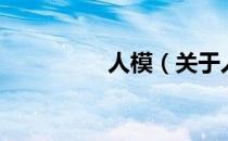 人模（关于人模的介绍）