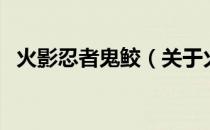 火影忍者鬼鲛（关于火影忍者鬼鲛的介绍）