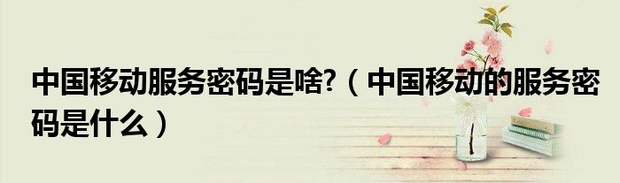 中国移动服务器密码的含义是什么？  第1张