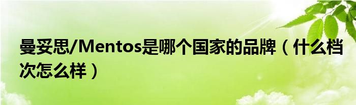 曼妥思/Mentos是哪个国家的品牌（什么档次怎么样）
