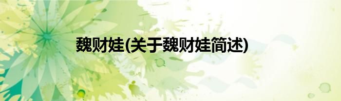 魏财娃(关于魏财娃简述)