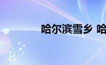 哈尔滨雪乡 哈尔滨雪乡简介
