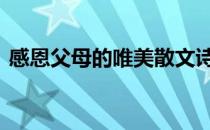 感恩父母的唯美散文诗 感恩父母的诗歌散文