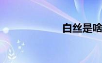 白丝是啥? 白丝吧
