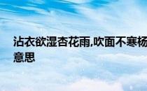 沾衣欲湿杏花雨,吹面不寒杨柳风的意思 吹面不寒杨柳风的意思